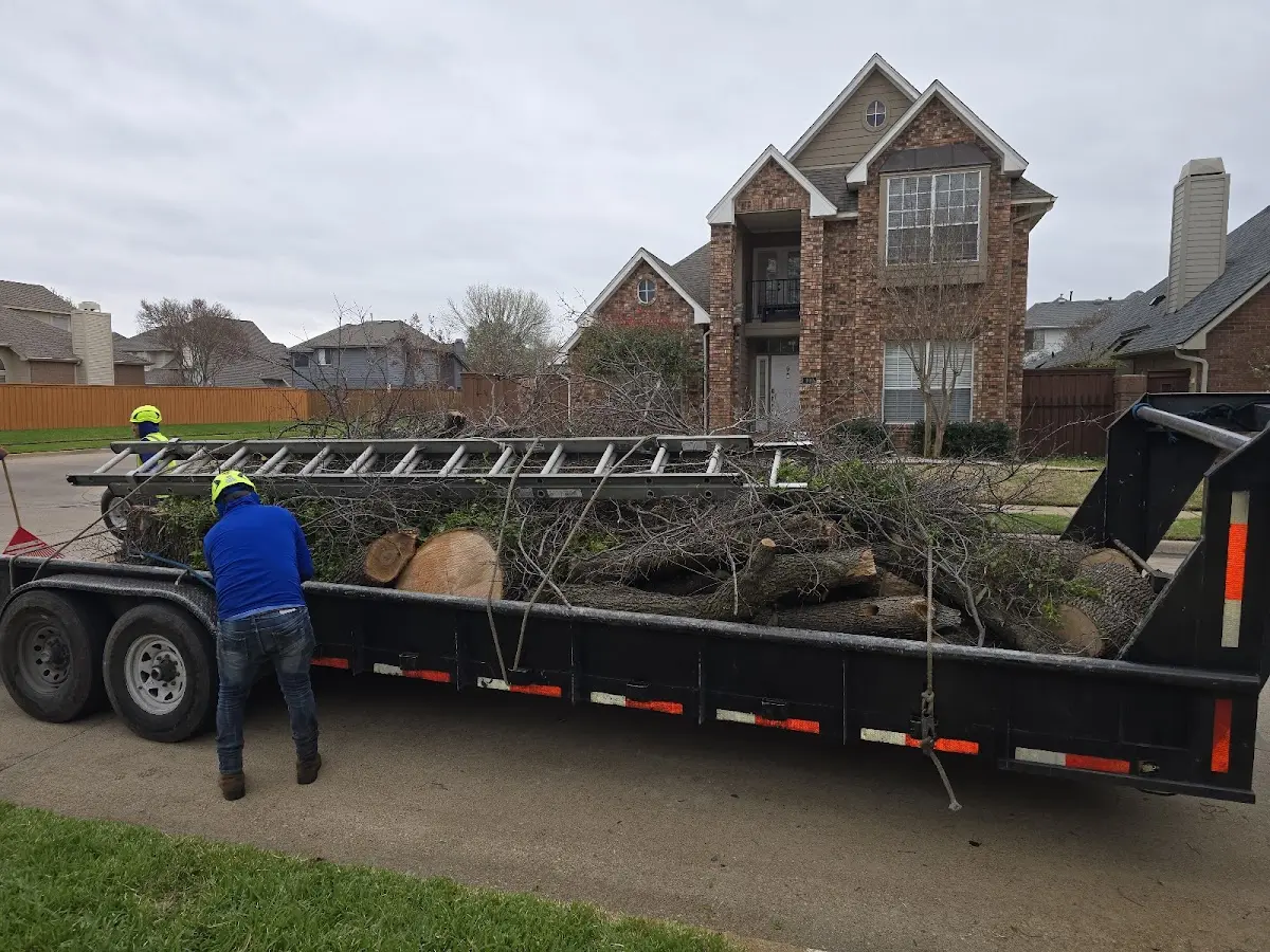 Expert Tree Pest Control with proper safety equipment in Prospect Park